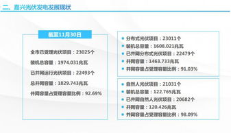 浙江嘉興經(jīng)驗(yàn) 分布式光伏發(fā)展需智能電網(wǎng)與技術(shù)標(biāo)準(zhǔn)雙支撐